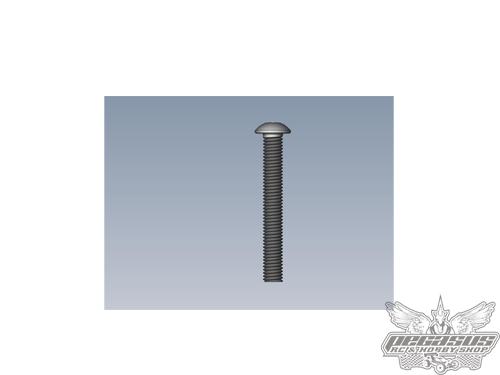 Intech 3x22 Button Screw x10