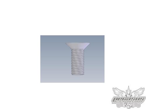 Intech 4x10 Counter Sunk Screw x10