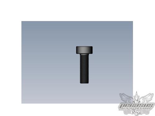 Intech 3x10 Cap Head Screw x10