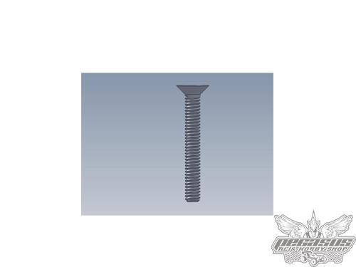 Intech 3x18 Counter SUnk Screw x10