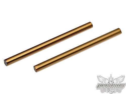 Team Associated FT TiN Rear Inner Hinge Pin (2pcs)
