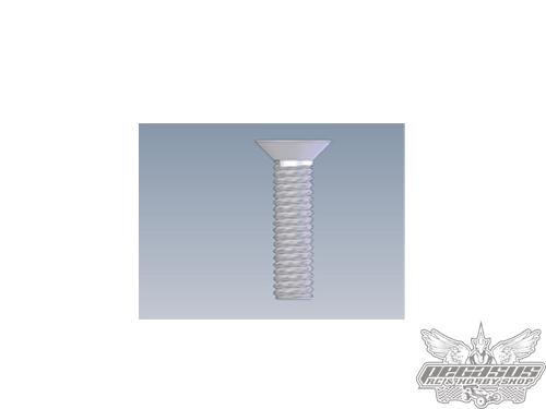 Intech 4x16 Counter Sunk Screw x10