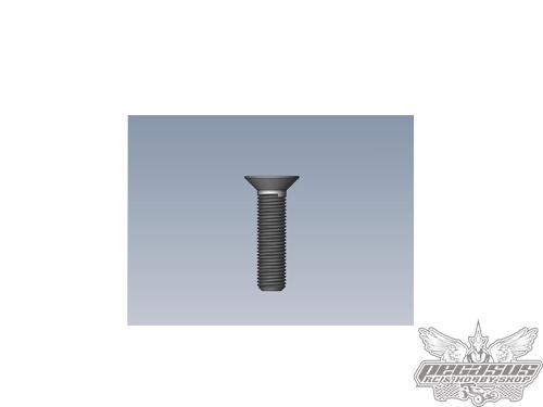 Intech 3x14 Counter Sunk Screw x10