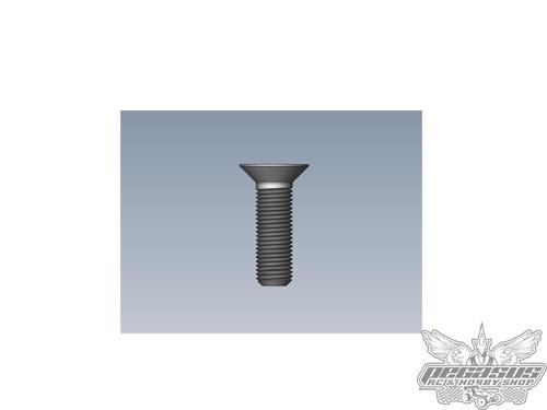 Intech 3x10 Counter Sunk Screrw x10