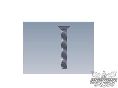 Intech 3x16 Counter Sunk Screw x10