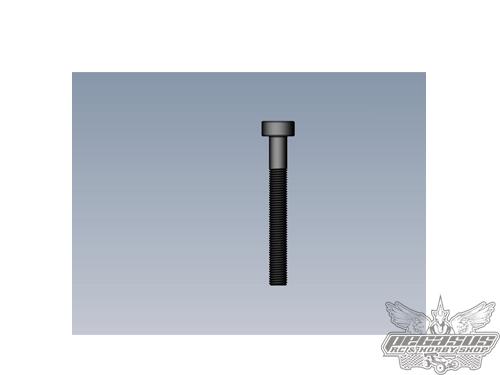 Intech 3x28 Cap Head Screw x10