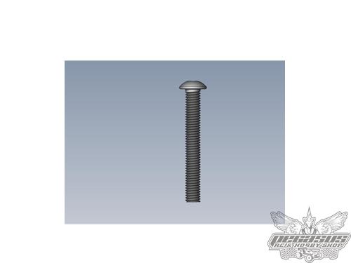 Intech 3x28 Button Screw x10