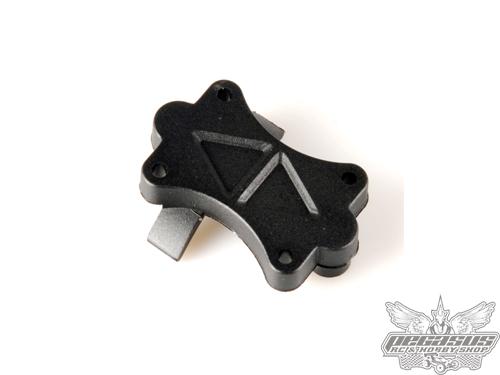 SST Racing Cental Diff Plate