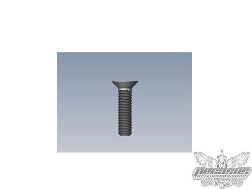 Intech 3x12 Counter Sunk Screw x10