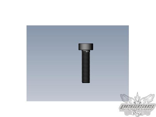 Intech 2.5x10 Cap Head Screw x10