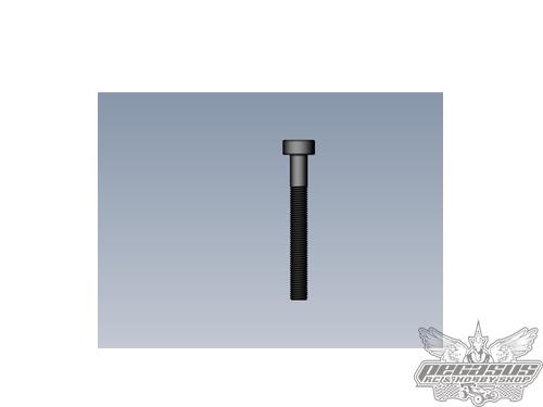 Intech 3x25 Cap Head Screw x10
