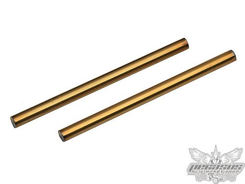 Team Associated FT TiN Front Inner Hinge Pin